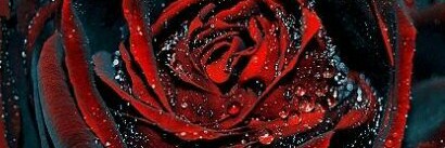 Cover image for post Ive longed, by Makerpurr