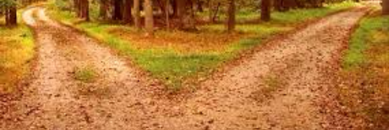 Cover image for post Life's Shortcut, by Cafe_Carcinogen