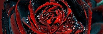 Cover image for post Honesty., by Makerpurr