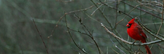 Cover image for post 27 August, by Hislastbreath