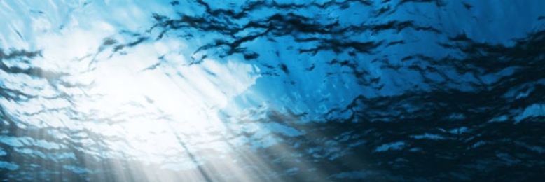 Cover image for post Ocean, by MystiJaye