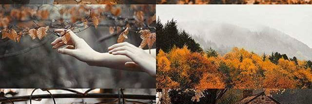 Cover image for post I Once Tried To Grow In Summer, by Rev_Frenchie