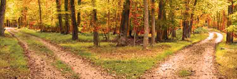 Cover image for post Crossroads, by Mandirigma