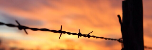 Cover image for post Wires, by sincerelyames