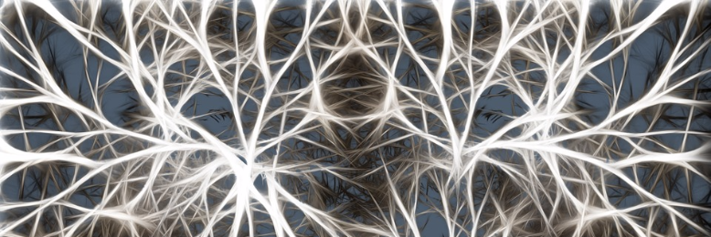 Cover image for post Risk, by nfaulk6