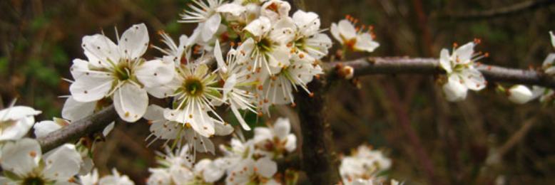 Cover image for post Names will never hurt, by DavidMark