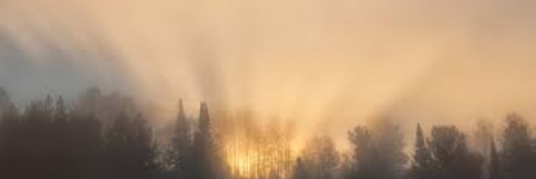 Cover image for post Untitled, by pwray