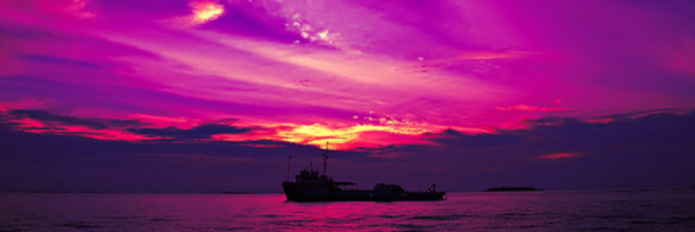 Cover image for post Sunsets, by Raene