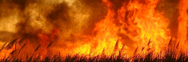 Cover image for post Hellbound Lovers, by Skull