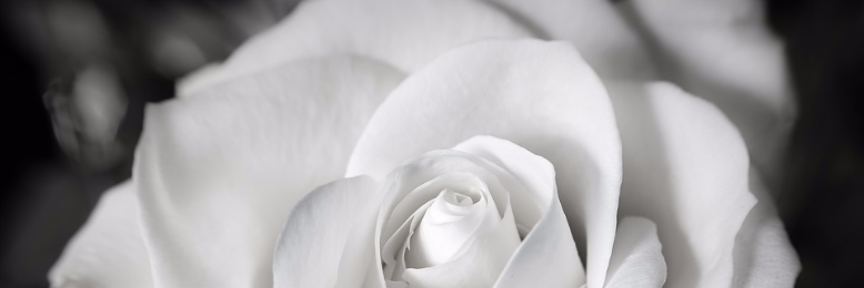 Cover image for post Virtue, by nfaulk6