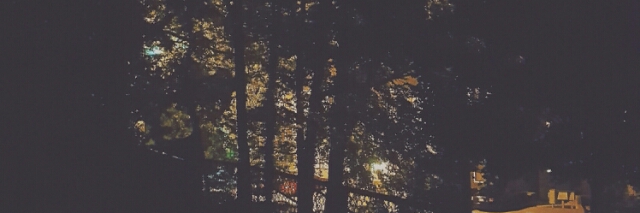 Cover image for post After a morning of laughter and shivers, by jacobgasho