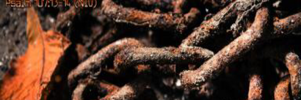 Cover image for post My Chains are gone, I've been set free!, by donnasfineart1