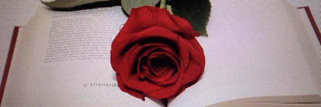 Cover image for post Paperback writer, by nitawilson70