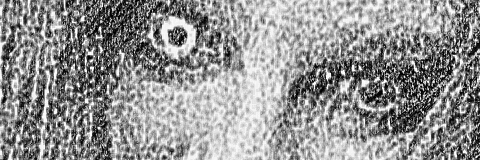 Cover image for post Untitled, by Stori