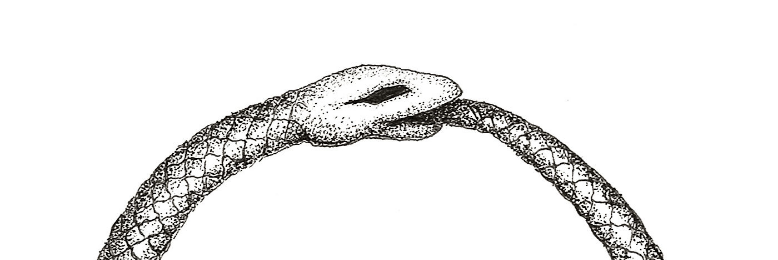 Cover image for post Ouroboros, by Hiroshi
