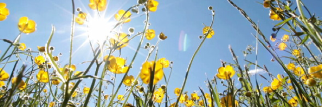 Cover image for post The Sun Will Shine, by PW_Goddess