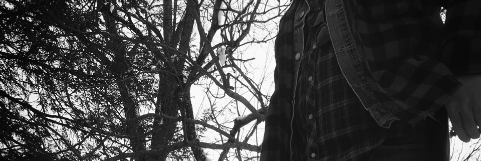 Cover image for post love maddening, by ALifeWitArt