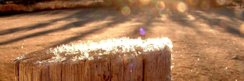 Cover image for post Good Mourning, by DrPenguin