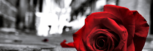 Cover image for post Colorblind, by YAngeL