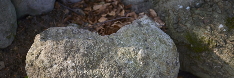 Cover image for post Stone, by nfaulk6