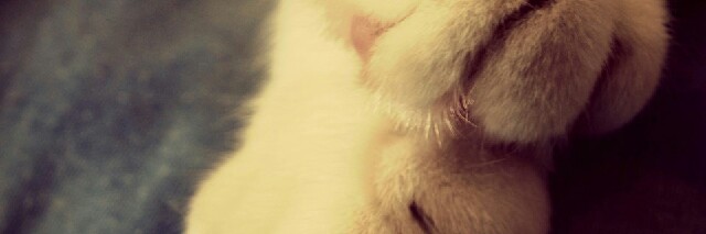 Cover image for post Victim of my Fate, by Keerthana