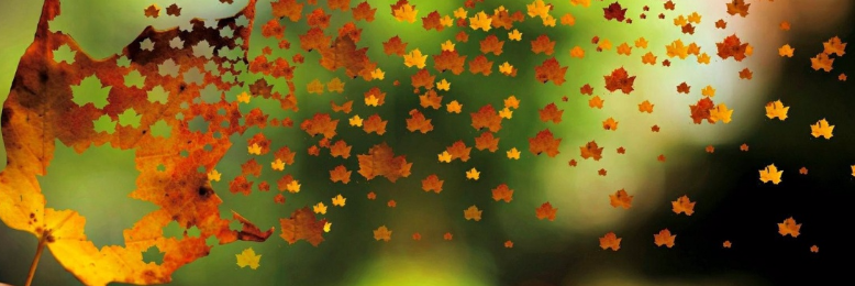 Cover image for post Little hymn of broken leaves, by LaurusTet