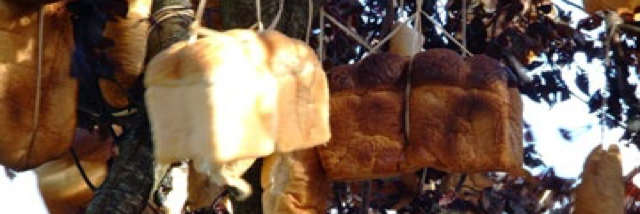 Cover image for post Aisle of the damned, by DavidMark