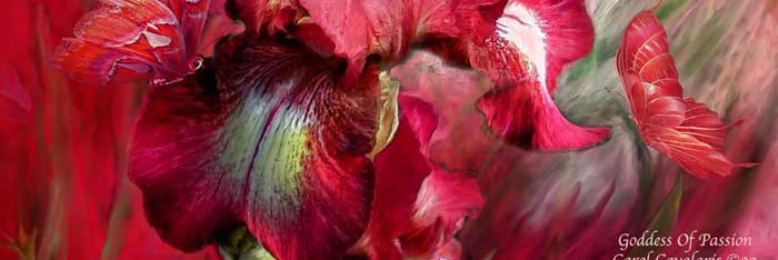 Cover image for post Crimson Flowers, by sandflea68