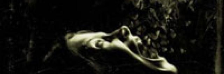 Cover image for post The Howlers, by landru