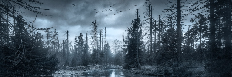 Cover image for post A mother drowned her sons this Tuesday, by LaurusTet