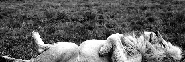 Cover image for post BARE, by Jed_dee