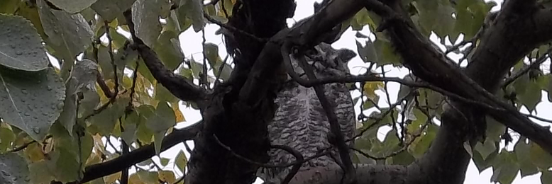 Cover image for post Capturing Moments, by crazontheinside