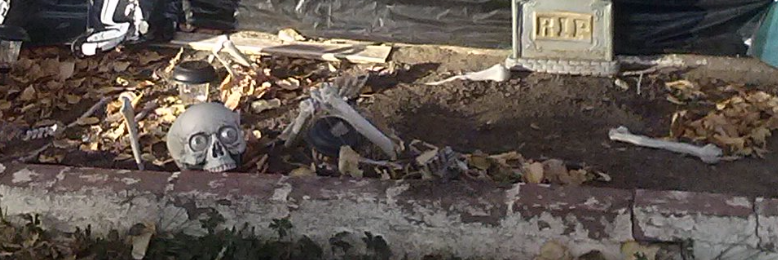 Cover image for post My Love, he shot me dead, by crazontheinside