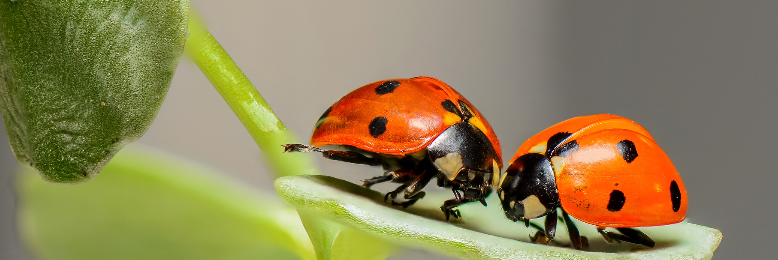 Cover image for post Synchronicity, by CoffeeStain