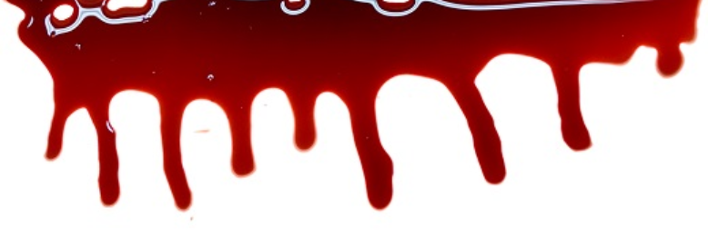 Cover image for post Haiku, by bella92