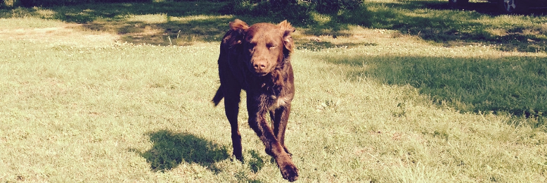 Cover image for post Trust, by CoffeeStain