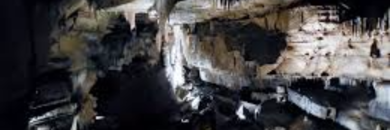 Cover image for post released by earthquake, by wordSwork