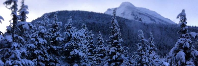 Cover image for post Panorama, by northernlight