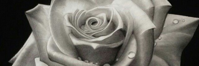 Cover image for post crazy beautiful, by pialottawrites