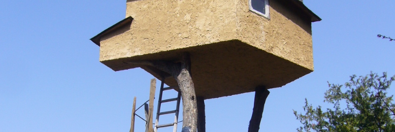 Cover image for post Rings of Thoughts, by poetgreen