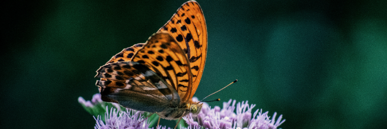 Cover image for post (Not) Yours to Take, by MsHannahTweets