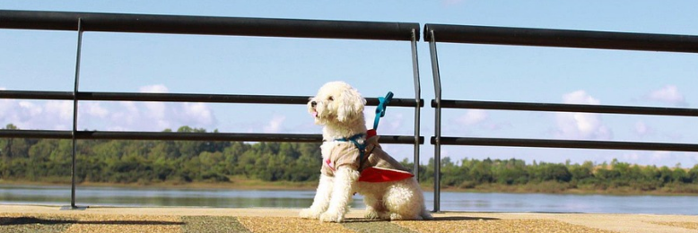 Cover image for post Speechless, by MsHannahTweets