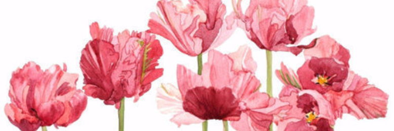 Cover image for post crimson nothing., by emilyjiang