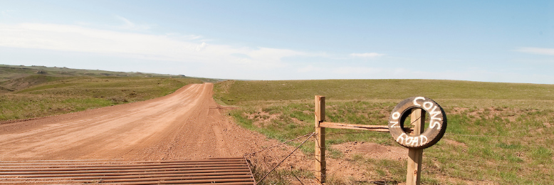 Cover image for post The Detour., by MakeItEasy