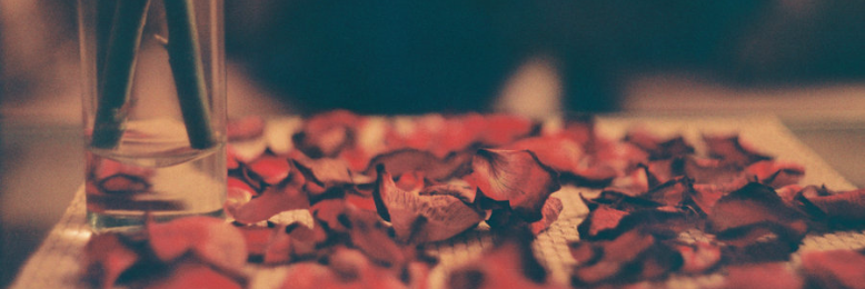 Cover image for post Vase;, by somniloquist