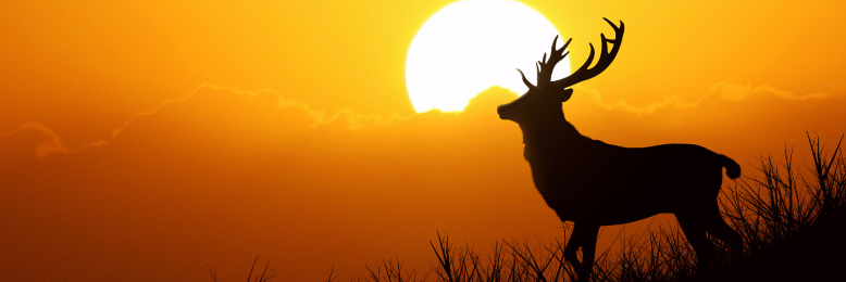 Cover image for post The Natural Order, by SevenWinds