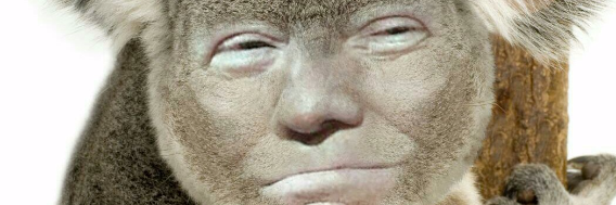 Cover image for post "MAKE AMERICA CLIMB AGAIN", by Zyndall_Bull