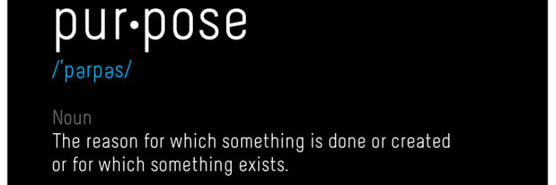 Cover image for post The Purpose, by SaneWriter