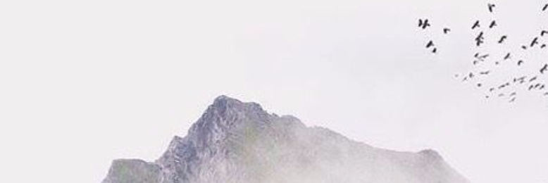 Cover image for post Us, by franceskakr