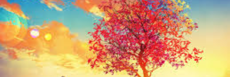 Cover image for post a faithless theologian, by alyssia